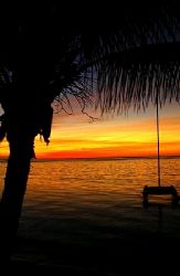 Roatan, Honduras. by Shawn Jackson 